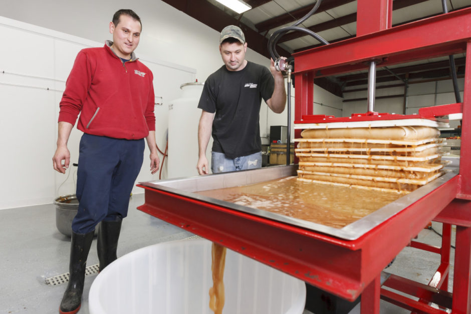 Miguel Galarraga and Seth Hart pressing apples at New England Cider Company